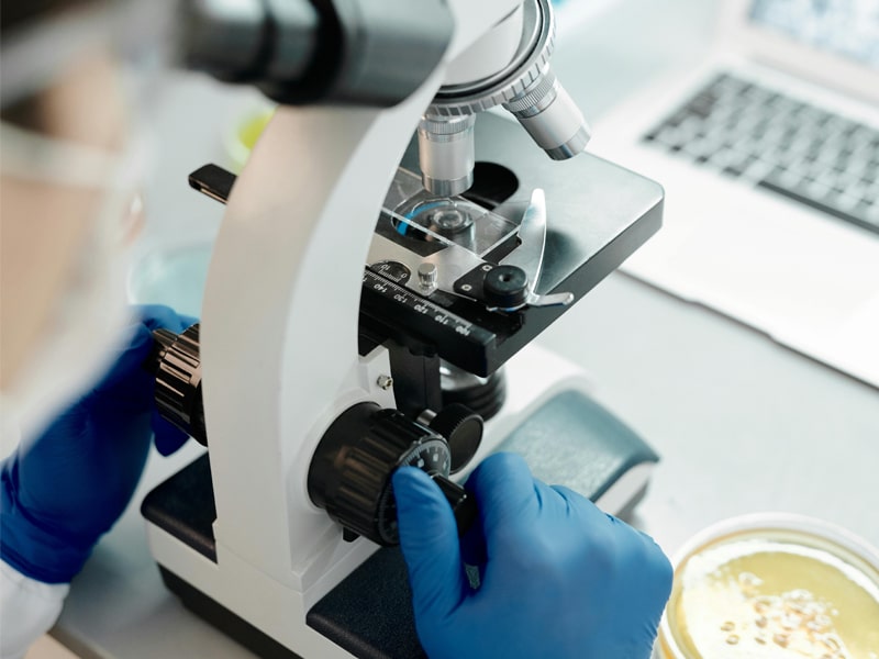 Solution for Improving the Efficiency of Fuel and Lubricant Systems in the Automotive Manufacturing Industry